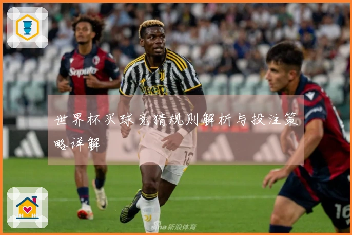 世界杯买球竞猜规则解析与投注策略详解