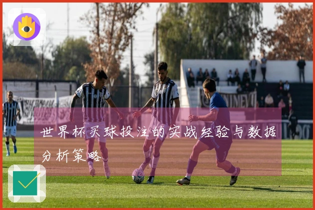 世界杯买球投注的实战经验与数据分析策略