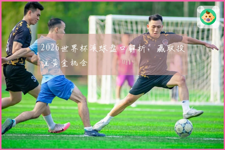 2026世界杯滚球盘口解析，赢取投注黄金机会