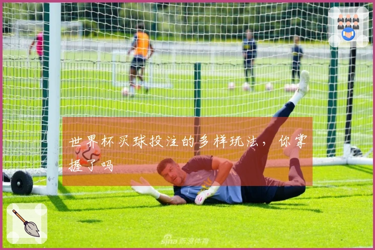 世界杯买球投注的多样玩法，你掌握了吗
