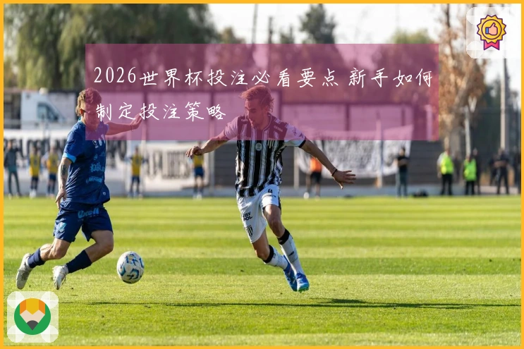 2026世界杯投注必看要点 新手如何制定投注策略