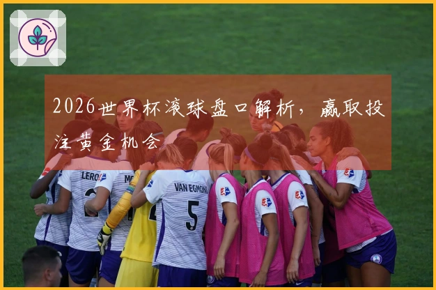 2026世界杯滚球盘口解析，赢取投注黄金机会