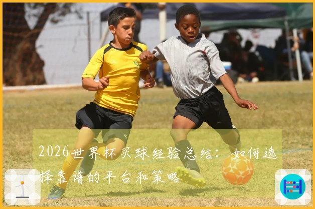 2026世界杯买球经验总结：如何选择靠谱的平台和策略