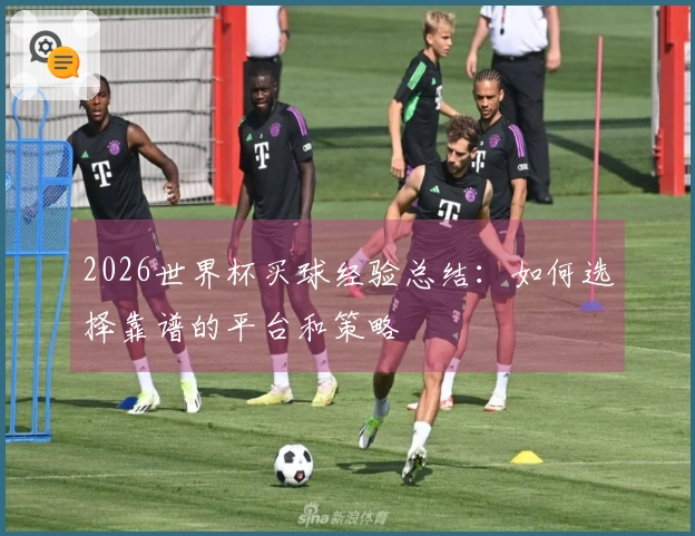 2026世界杯买球经验总结：如何选择靠谱的平台和策略
